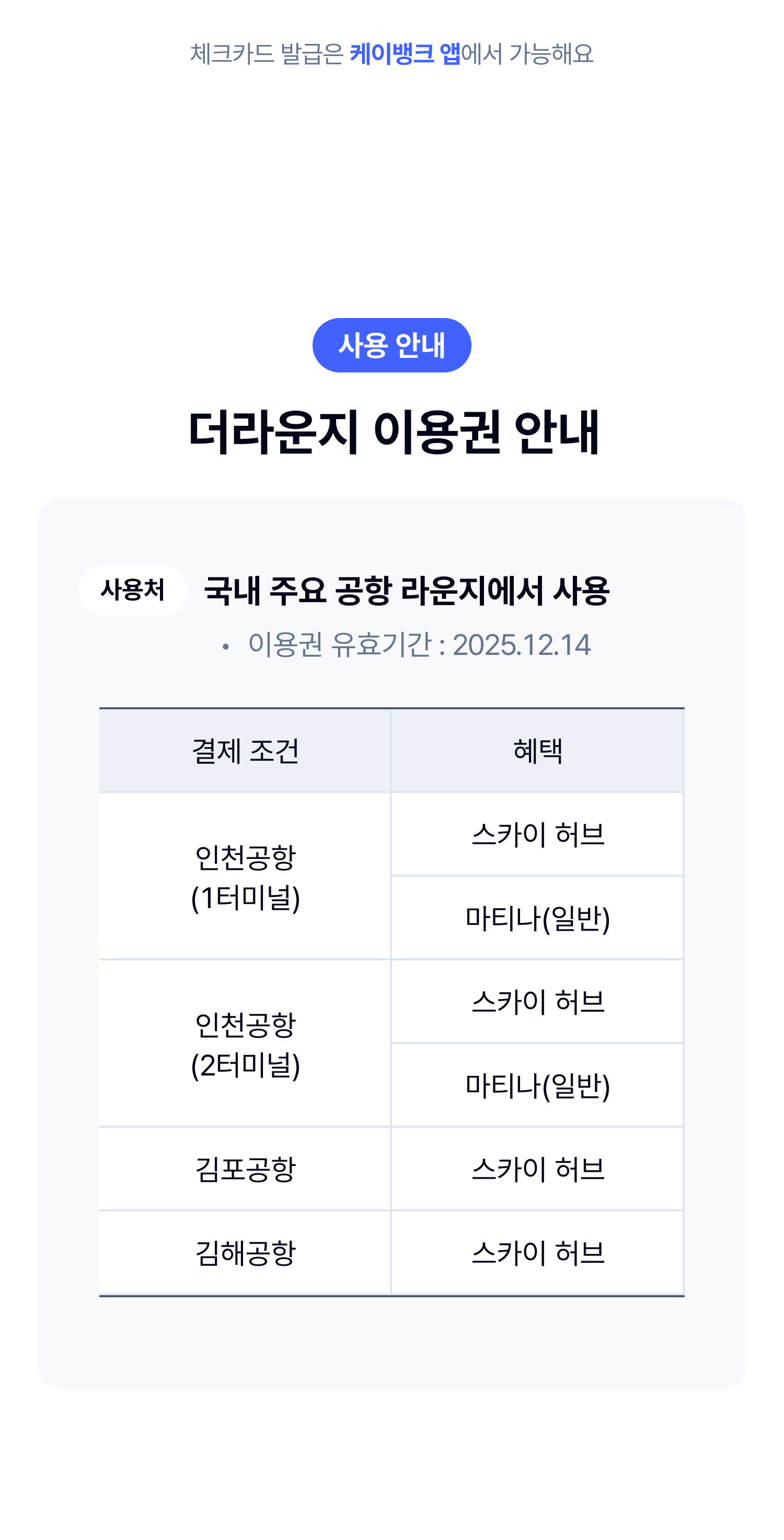 더라운지 이용권 안내
